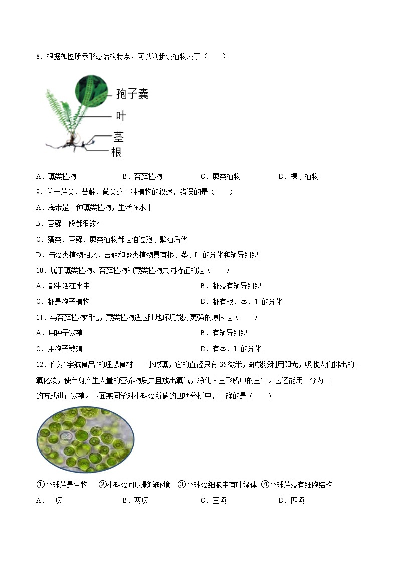2025年中考生物一轮复习精讲精练专题04 生物圈中有哪些绿色植物（原卷版）第2页