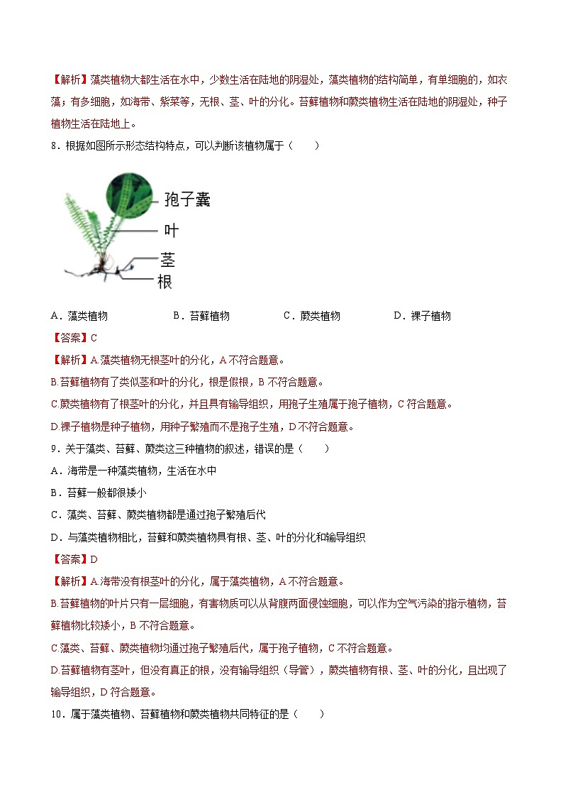 2025年中考生物一轮复习精讲精练专题04 生物圈中有哪些绿色植物（解析版）第3页