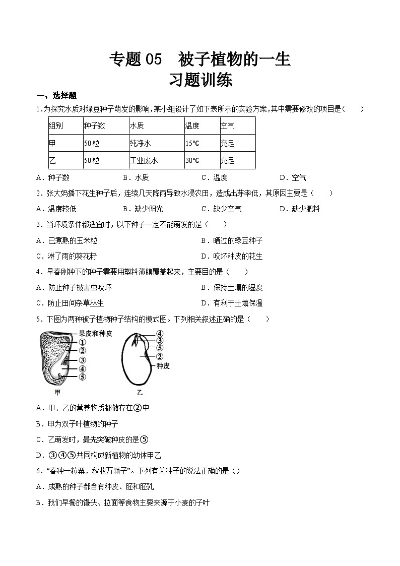 2025年中考生物一轮复习精讲精练专题05 被子植物的一生（原卷版）第1页