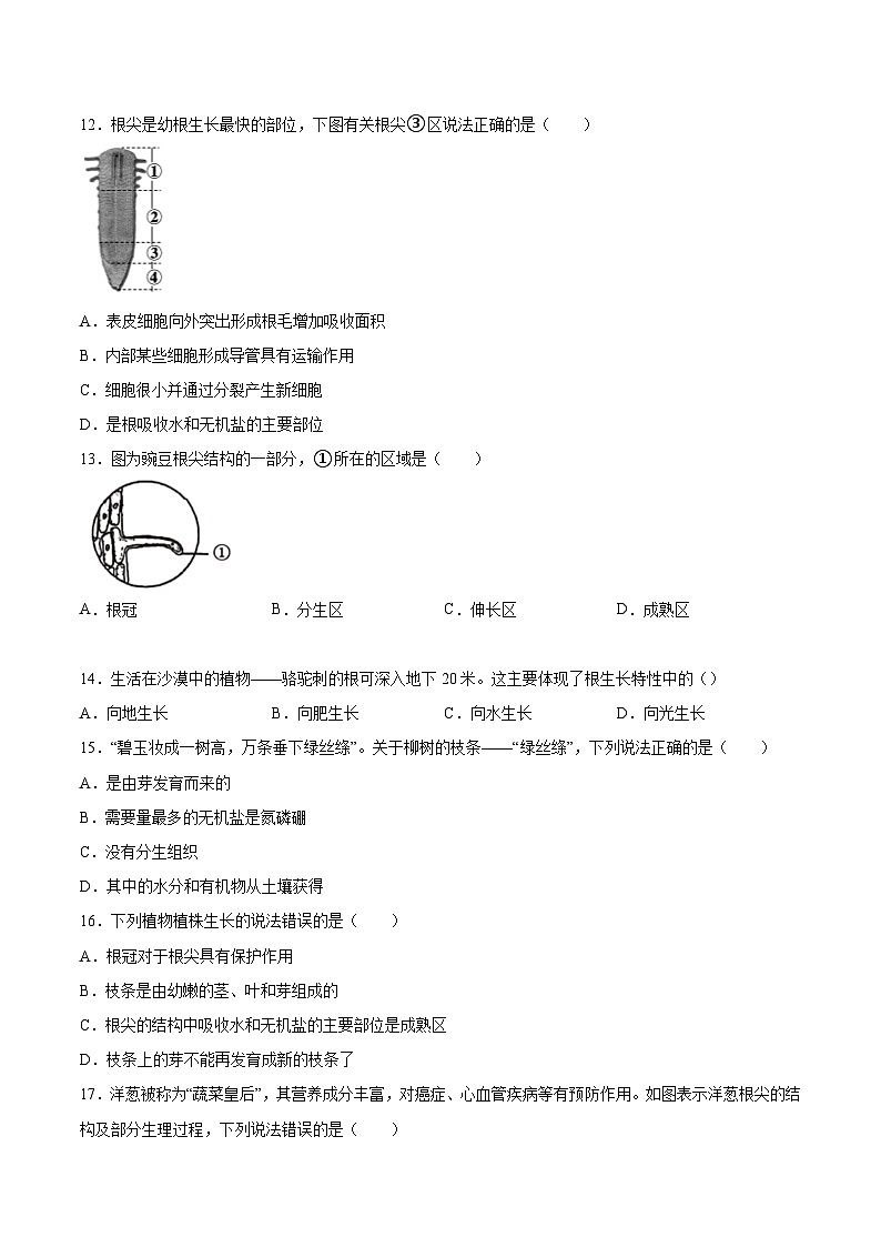 2025年中考生物一轮复习精讲精练专题05 被子植物的一生（原卷版）第3页