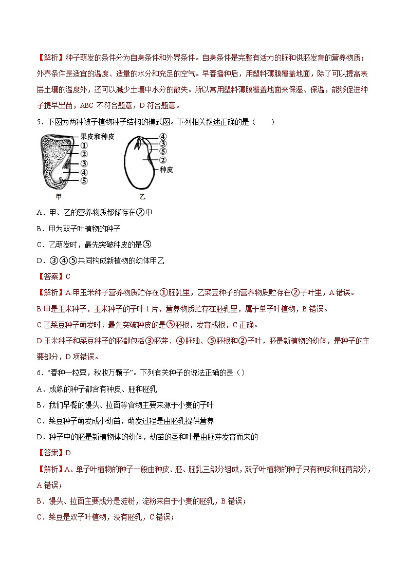 2025年中考生物一轮复习精讲精练专题05 被子植物的一生（解析版）第2页