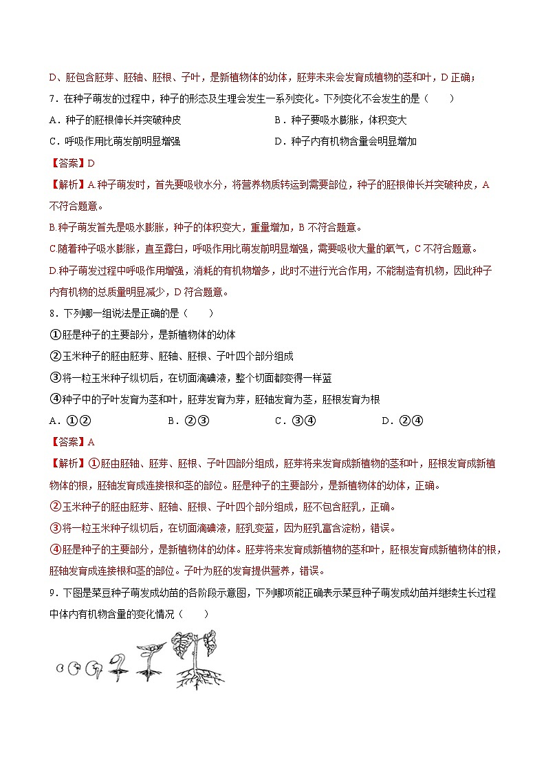 2025年中考生物一轮复习精讲精练专题05 被子植物的一生（解析版）第3页