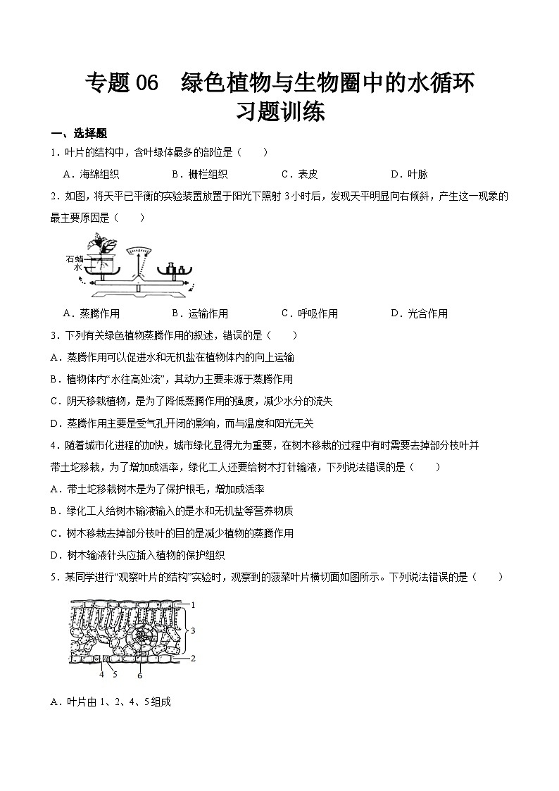 2025年中考生物一轮复习精讲精练专题06 绿色植物与生物圈中的水循环（原卷版）第1页