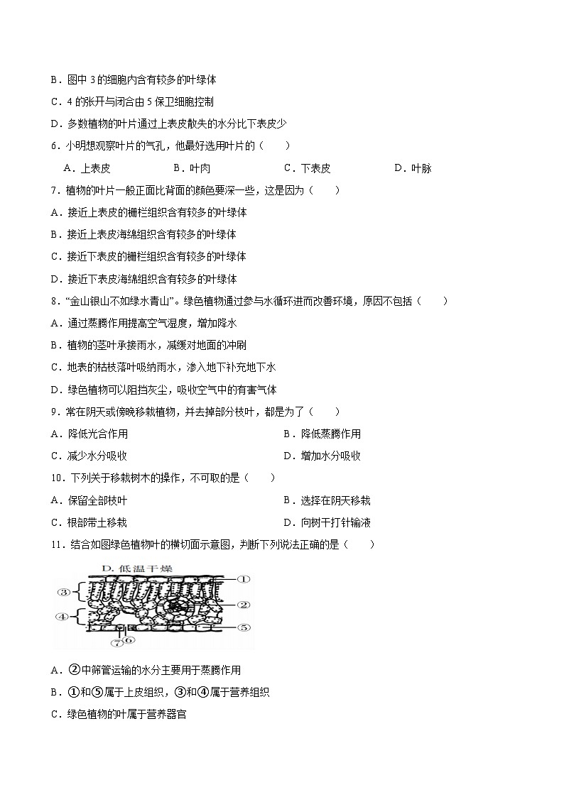 2025年中考生物一轮复习精讲精练专题06 绿色植物与生物圈中的水循环（原卷版）第2页