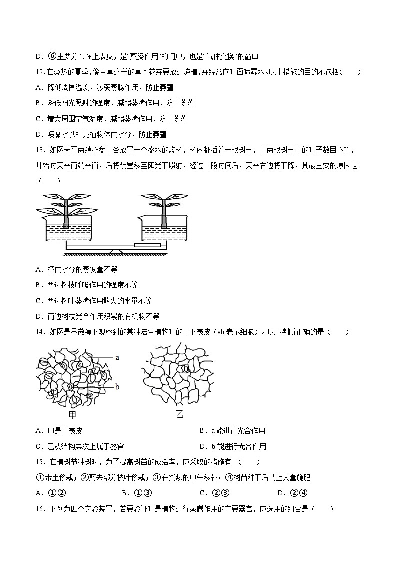 2025年中考生物一轮复习精讲精练专题06 绿色植物与生物圈中的水循环（原卷版）第3页