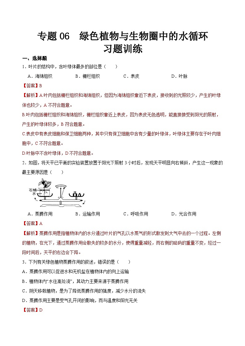 2025年中考生物一轮复习精讲精练专题06 绿色植物与生物圈中的水循环（解析版）第1页