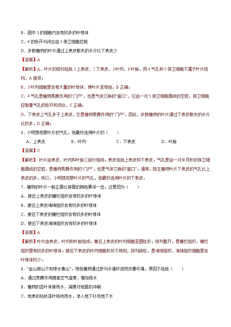 2025年中考生物一轮复习精讲精练专题06 绿色植物与生物圈中的水循环（解析版）第3页