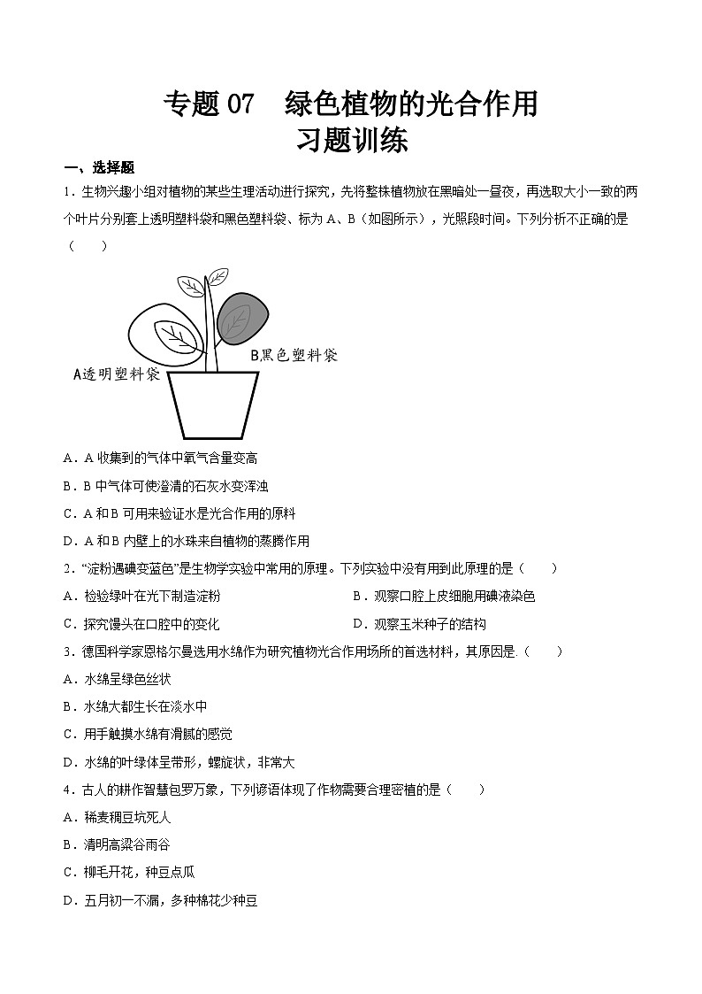 2025年中考生物一轮复习精讲精练专题07 绿色植物的光合作用（原卷版）第1页