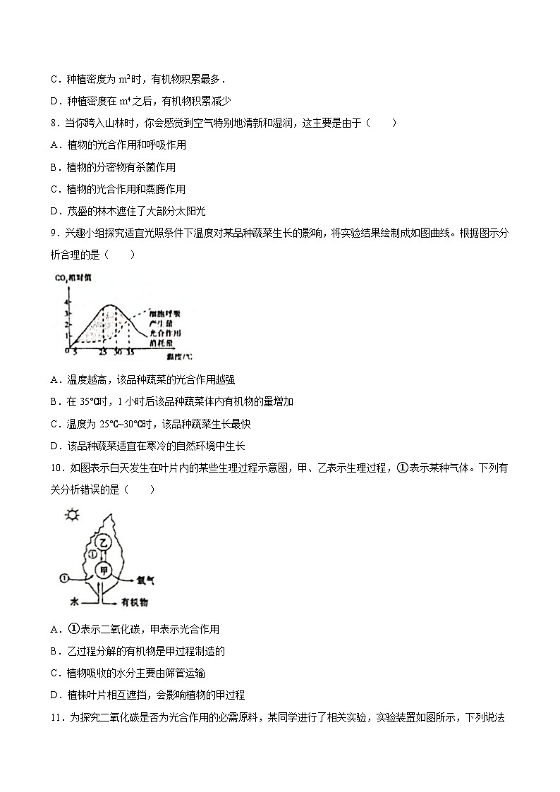 2025年中考生物一轮复习精讲精练专题07 绿色植物的光合作用（原卷版）第3页