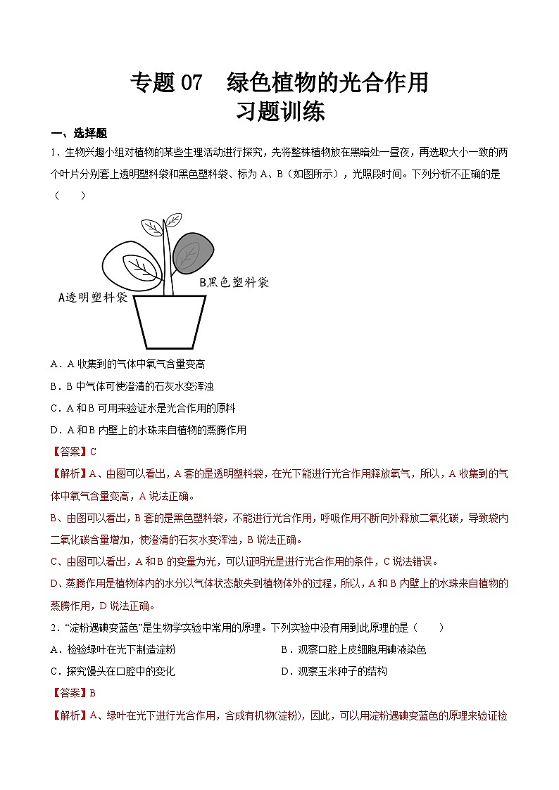 2025年中考生物一轮复习精讲精练专题07 绿色植物的光合作用（解析版）第1页