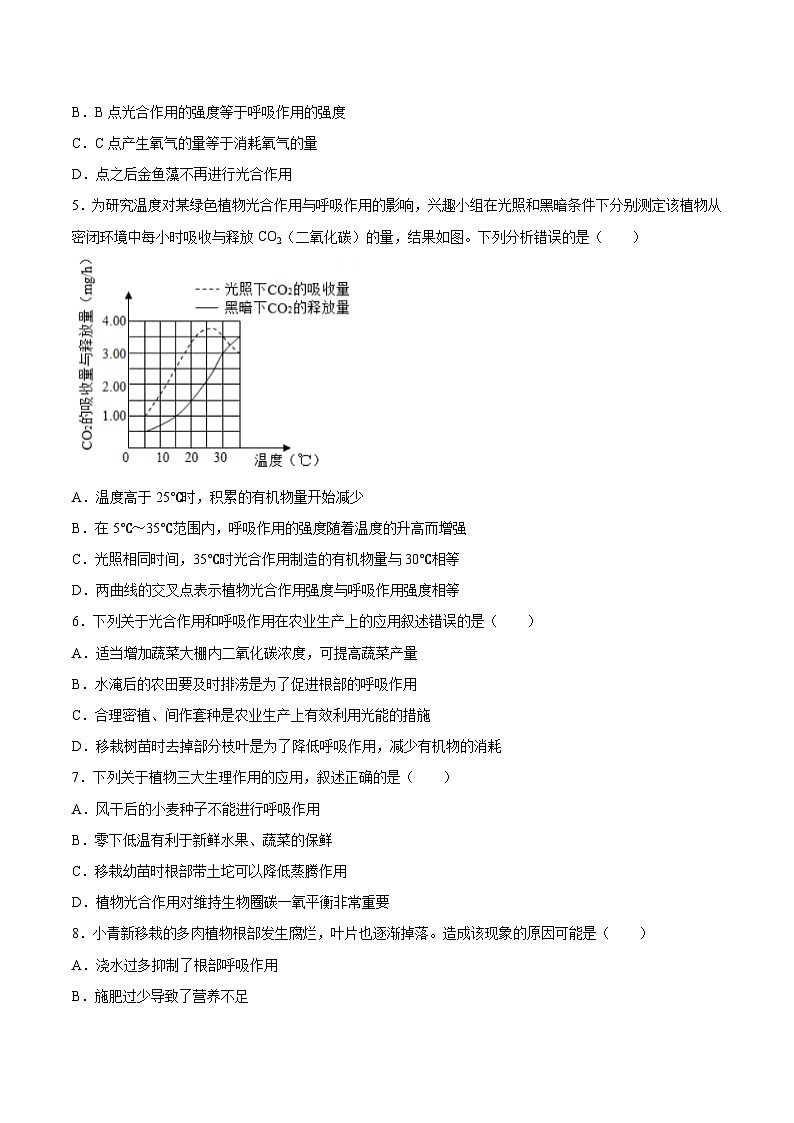 2025年中考生物一轮复习精讲精练专题08 绿色植物的呼吸作用（原卷版）第2页