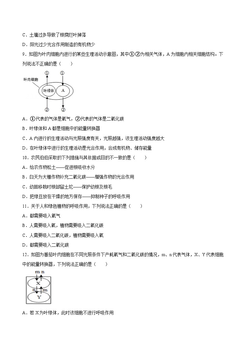 2025年中考生物一轮复习精讲精练专题08 绿色植物的呼吸作用（原卷版）第3页