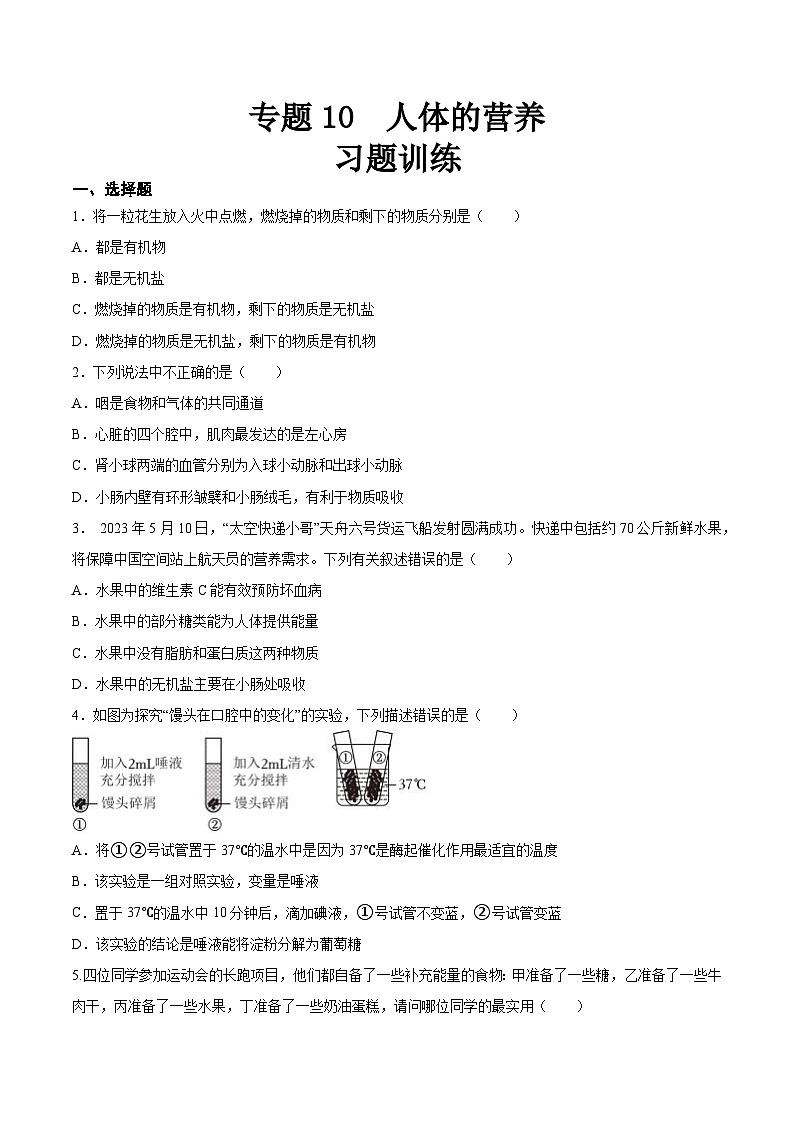 2025年中考生物一轮复习精讲精练专题10 人体的营养（2份，原卷版+解析版）01