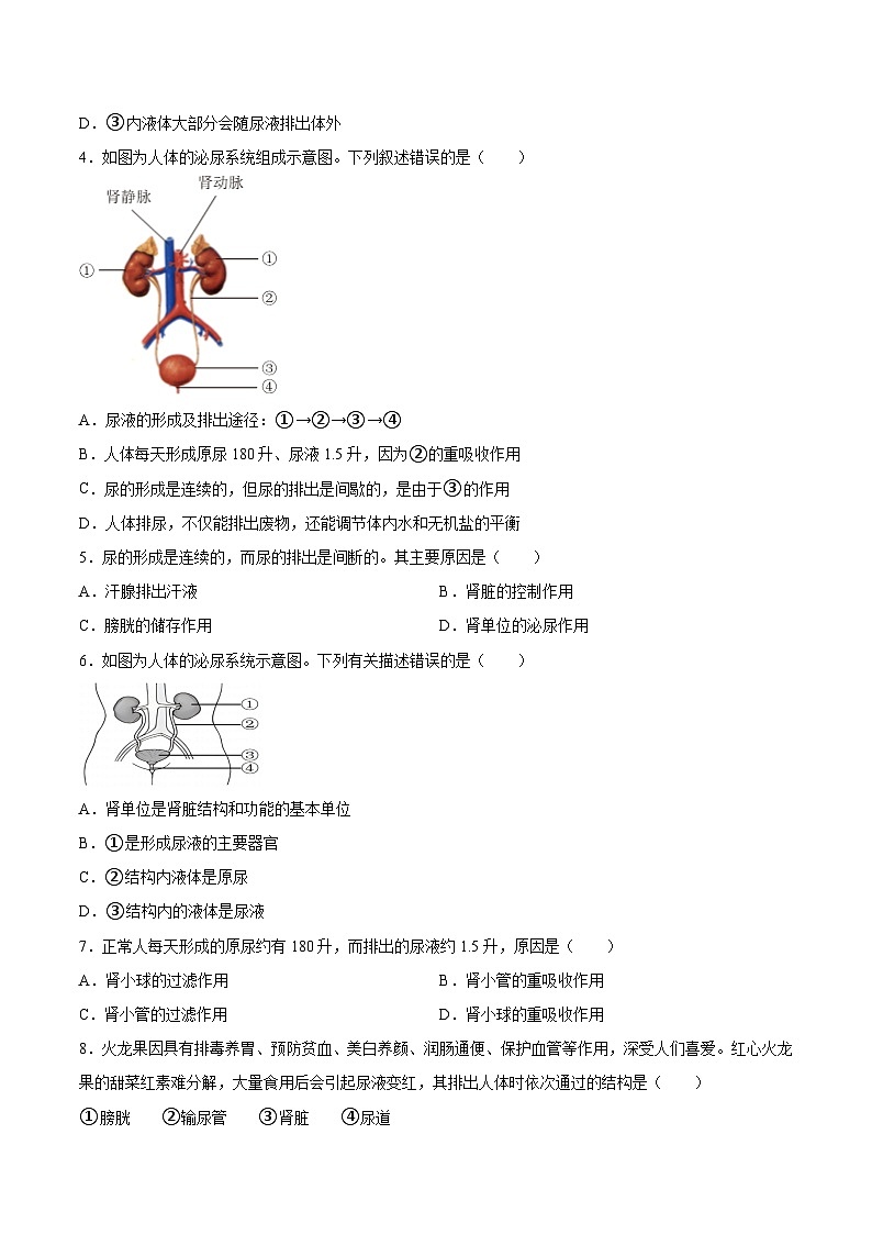 2025年中考生物一轮复习精讲精练专题13 人体内废物的排出（2份，原卷版+解析版）02