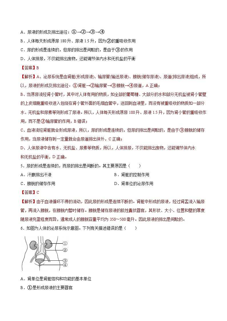 2025年中考生物一轮复习精讲精练专题13 人体内废物的排出（2份，原卷版+解析版）03