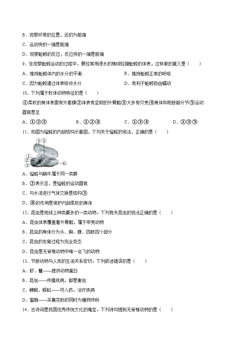 2025年中考生物一轮复习精讲精练专题16 动物的主要类群（原卷版）第2页