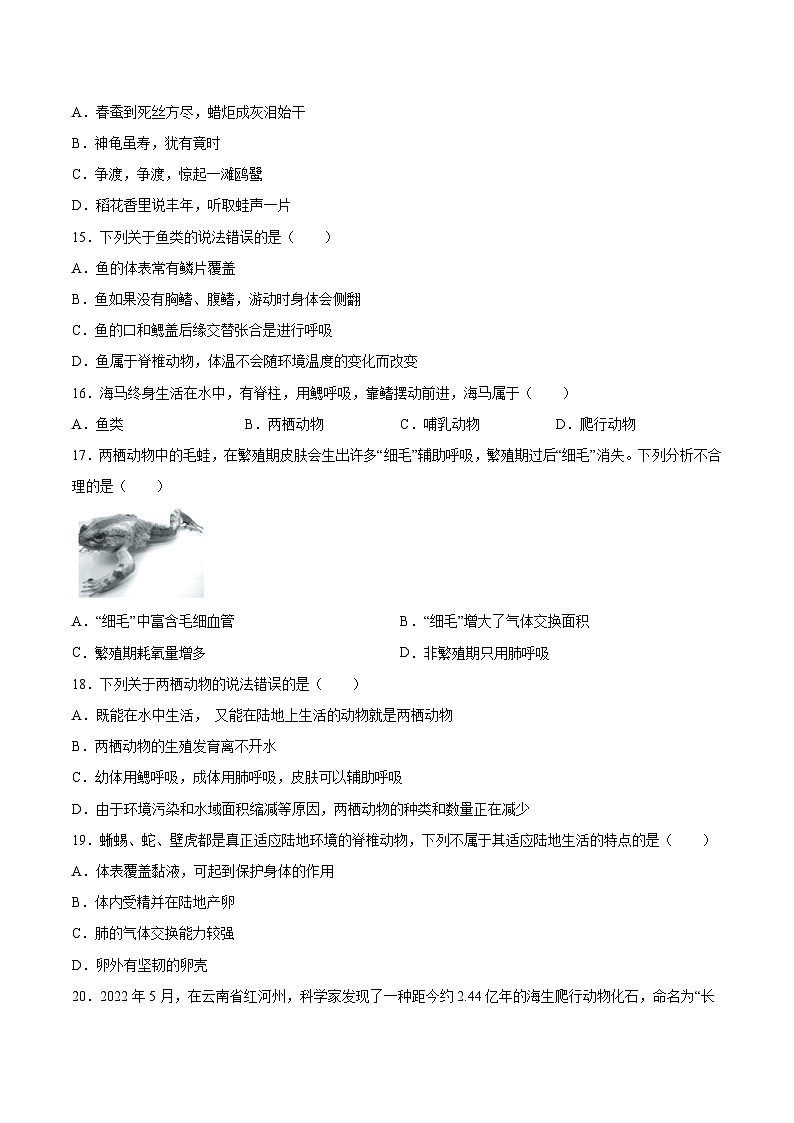 2025年中考生物一轮复习精讲精练专题16 动物的主要类群（原卷版）第3页