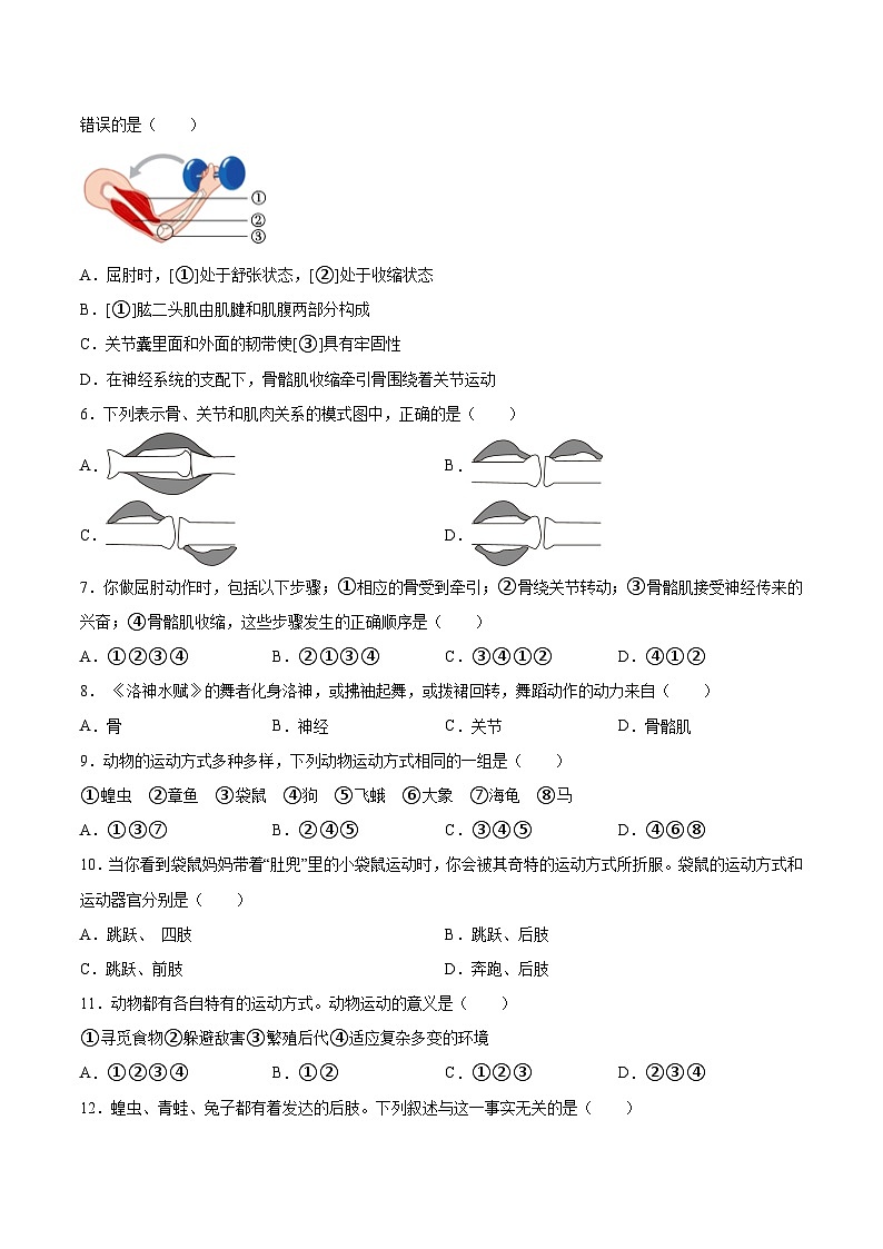 2025年中考生物一轮复习精讲精练专题17  哺乳动物的运动及动物在生物圈中的作用（原卷版）第2页