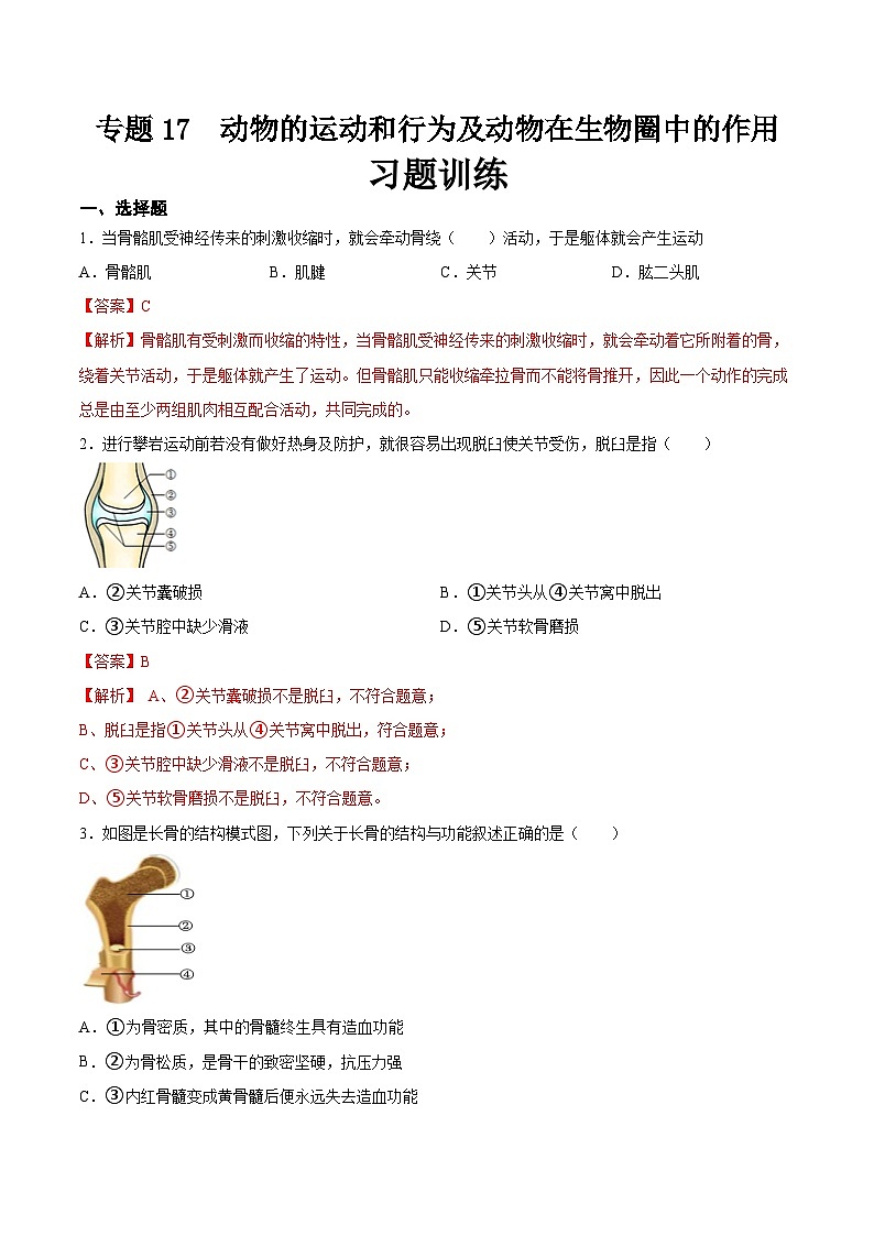 2025年中考生物一轮复习精讲精练专题17  哺乳动物的运动及动物在生物圈中的作用（解析版）第1页