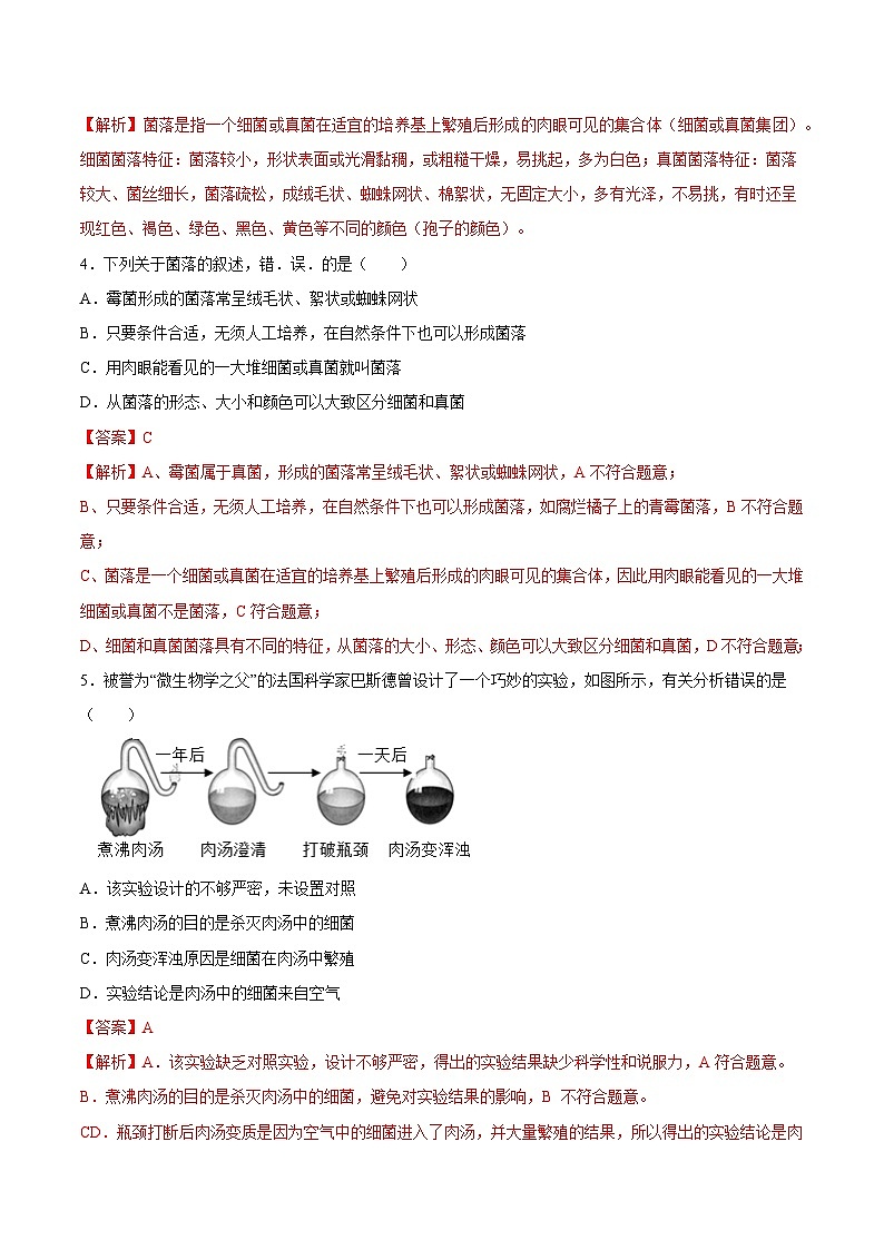 2025年中考生物一轮复习精讲精练专题18  细菌、真菌和病毒（解析版）第2页