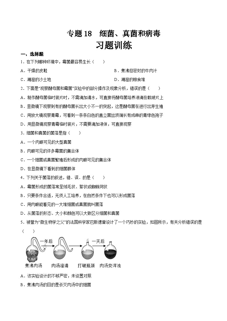 2025年中考生物一轮复习精讲精练专题18  细菌、真菌和病毒（原卷版）第1页