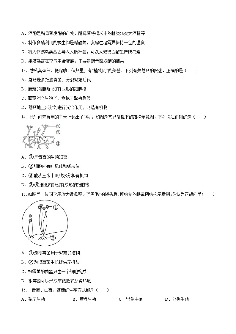2025年中考生物一轮复习精讲精练专题18  细菌、真菌和病毒（原卷版）第3页