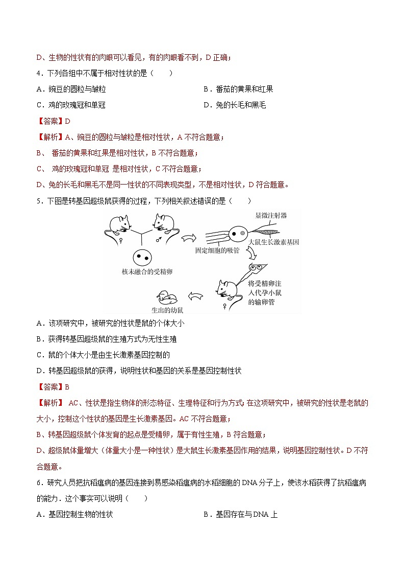2025年中考生物一轮复习精讲精练专题21  生物的遗传和变异（解析版）第2页