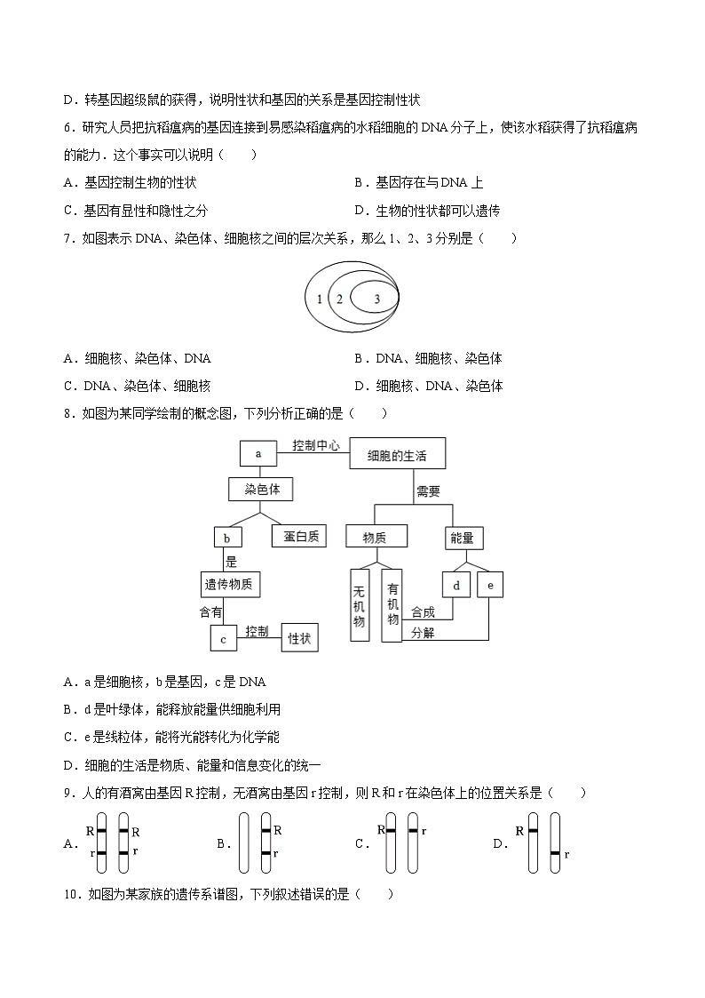 2025年中考生物一轮复习精讲精练专题21  生物的遗传和变异（原卷版）第2页