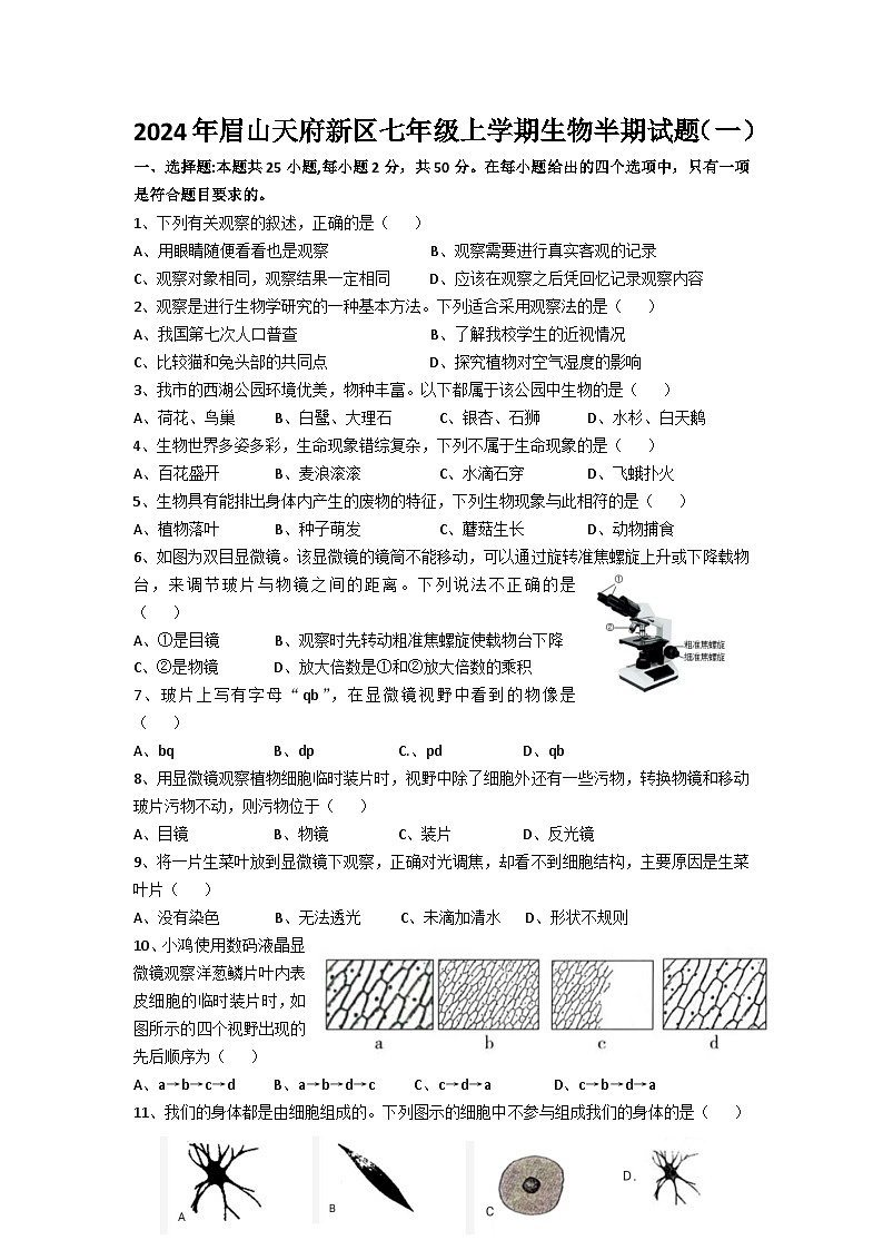 四川省眉山市天府新区清水初级中学2024-2025学年七年级上学期期中考试生物试题01