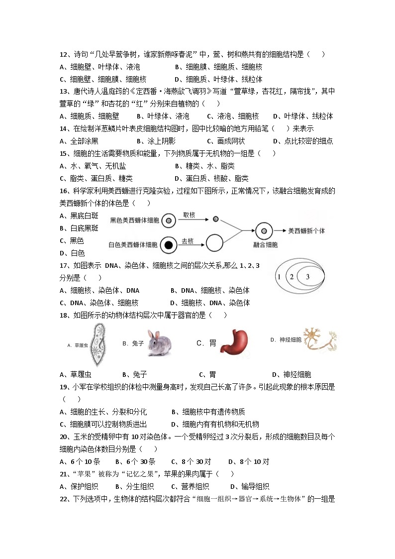 四川省眉山市天府新区清水初级中学2024-2025学年七年级上学期期中考试生物试题02