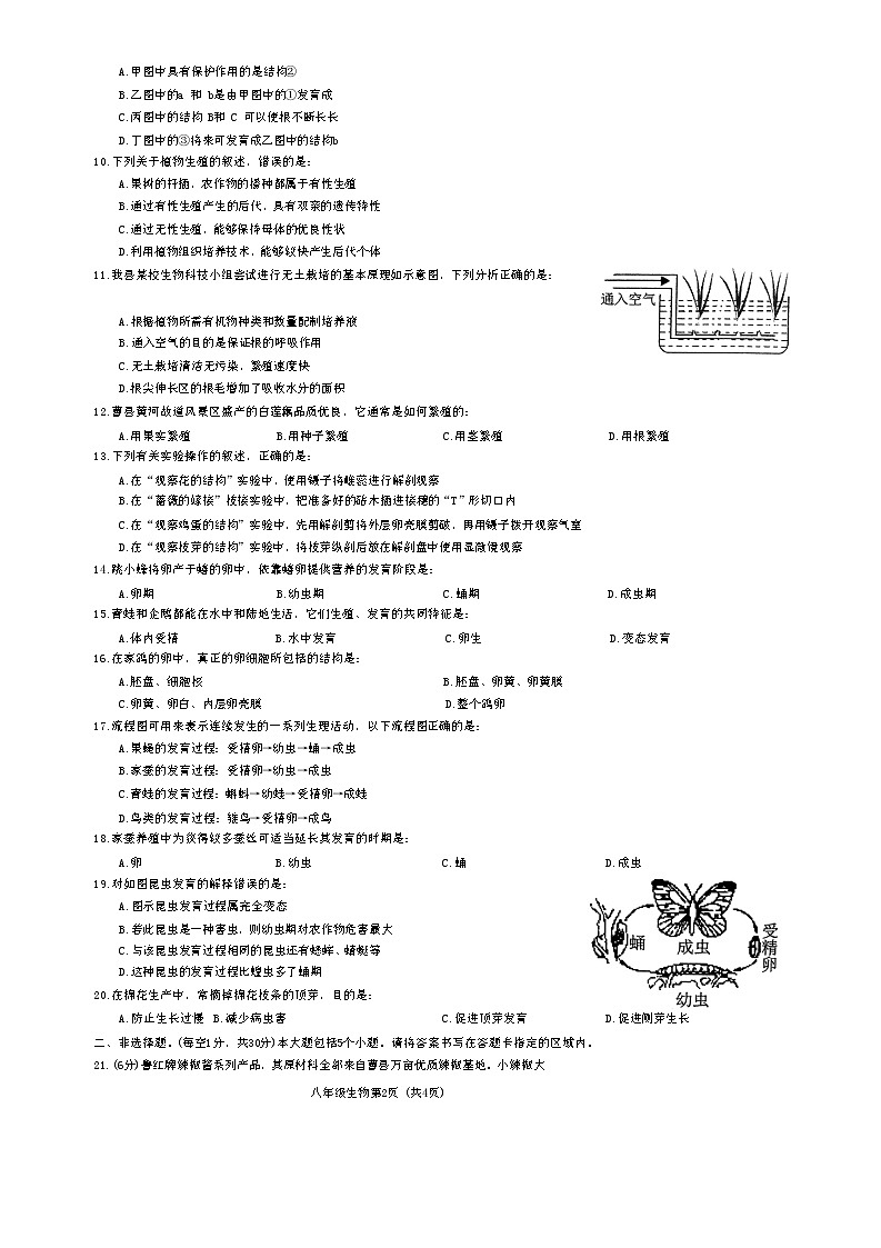 山东省菏泽市曹县2024-2025学年八年级上学期11月期中生物试题第2页
