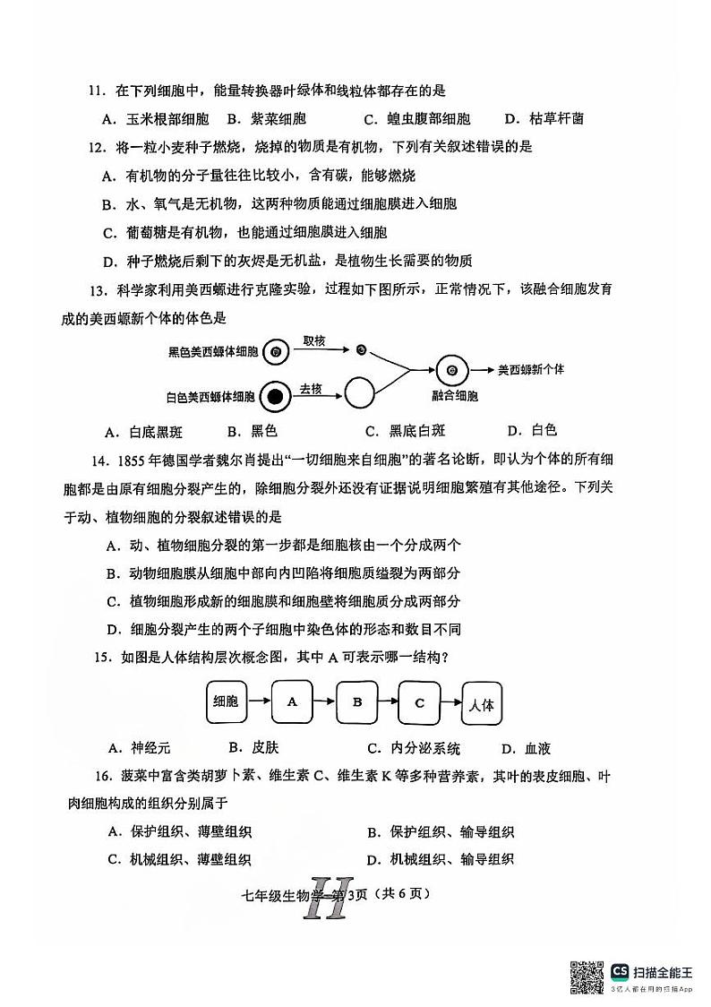 河南省南阳市唐河县2024-2025学年七年级上学期11月期中考试生物试题第3页