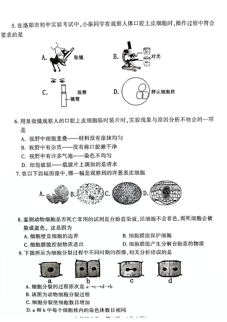 河南省宜阳县2024-2025学年七年级上学期期中考试生物试题含答案第2页