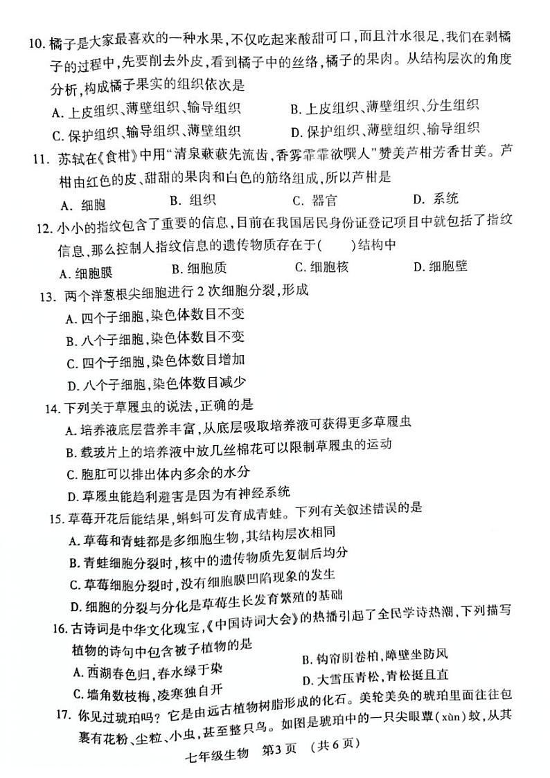 河南省宜阳县2024-2025学年七年级上学期期中考试生物试题含答案第3页