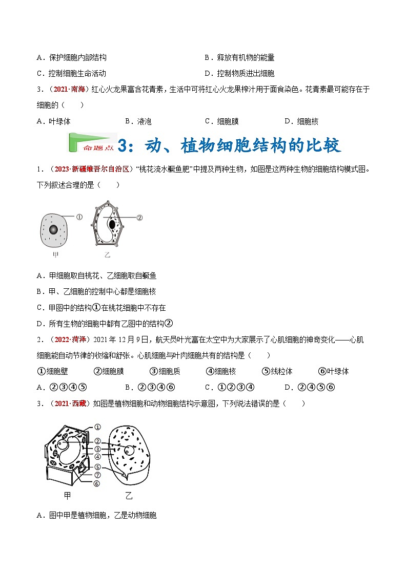 2025年中考生物真题分项汇编 专题02 生物体的结构层次（2份，原卷版+解析版）03