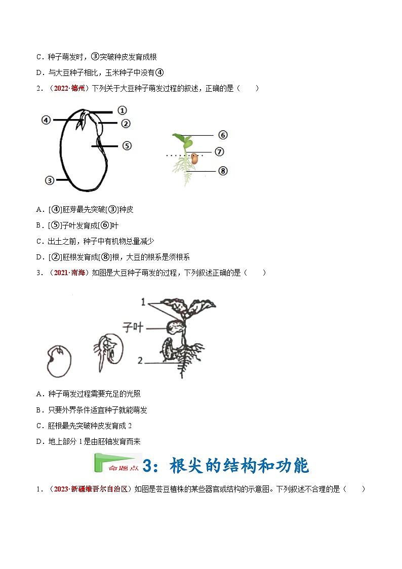 2025年中考生物真题分项汇编 专题03 绿色开花植物的一生（原卷版）第2页