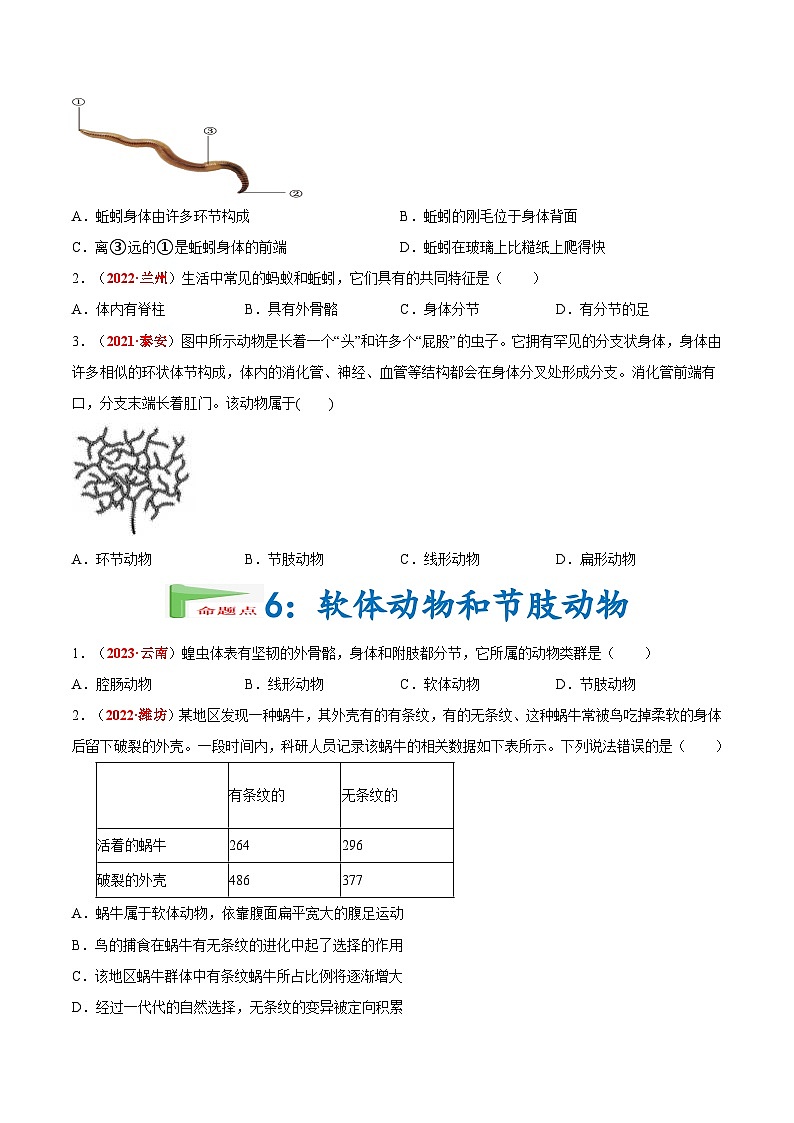 2025年中考生物真题分项汇编 专题10 植物 动物和微生物类群（原卷版）第3页