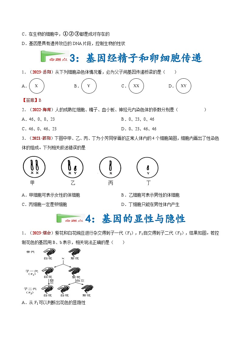 2025年中考生物真题分项汇编 专题13 生物的遗传和变异（原卷版）第3页