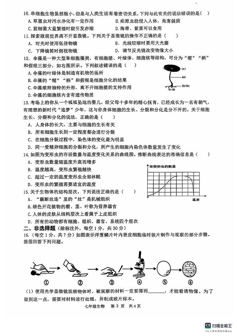 湖北省安陆市2024-2025学年七年级上学期期中质量调研生物试题第2页