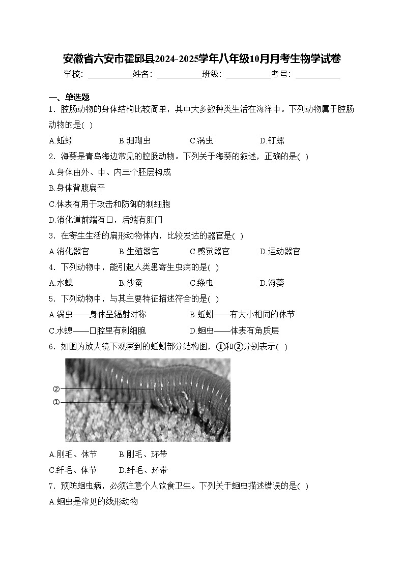 安徽省六安市霍邱县2024-2025学年八年级10月月考生物学试卷(含答案)01
