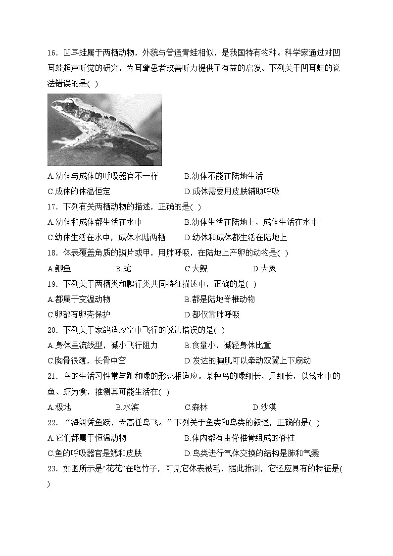 安徽省六安市霍邱县2024-2025学年八年级10月月考生物学试卷(含答案)03