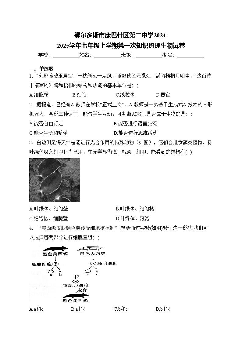 鄂尔多斯市康巴什区第二中学2024-2025学年七年级上学期第一次知识梳理生物试卷(含答案)第1页