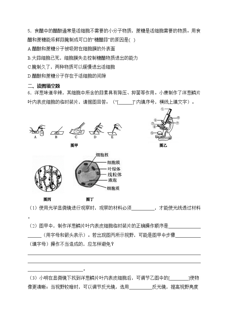 鄂尔多斯市康巴什区第二中学2024-2025学年七年级上学期第一次知识梳理生物试卷(含答案)第2页