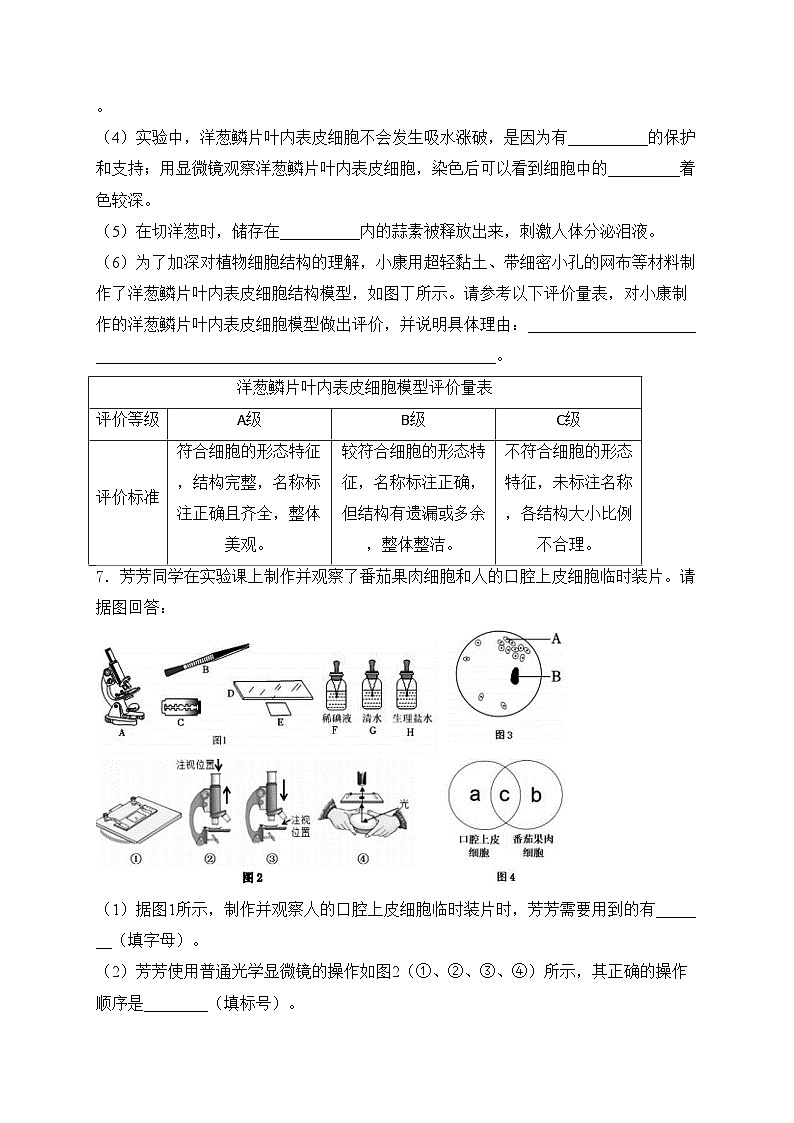 鄂尔多斯市康巴什区第二中学2024-2025学年七年级上学期第一次知识梳理生物试卷(含答案)第3页