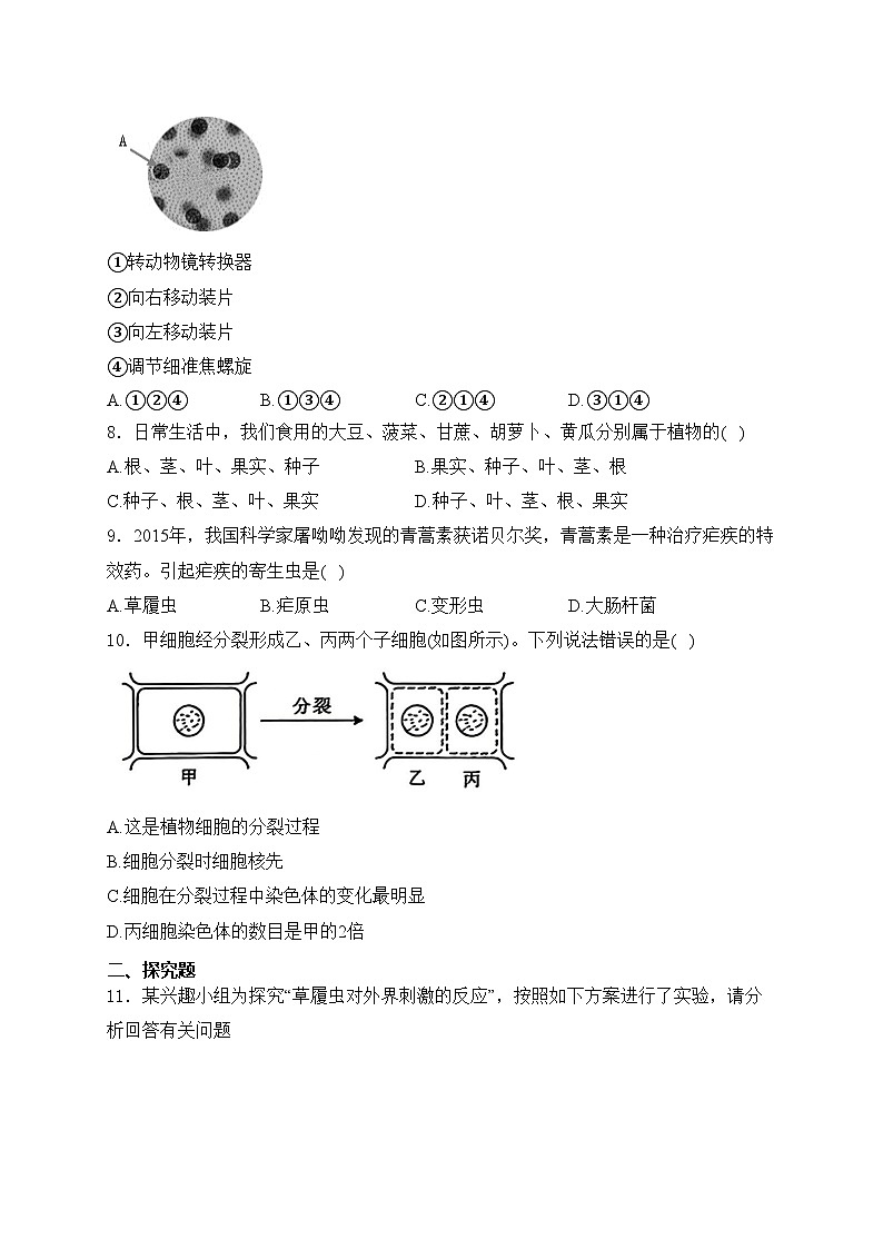 甘肃省天水市麦积区2024-2025学年七年级上学期10月期中考试生物试卷(含答案)02