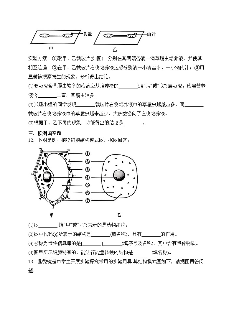 甘肃省天水市麦积区2024-2025学年七年级上学期10月期中考试生物试卷(含答案)03