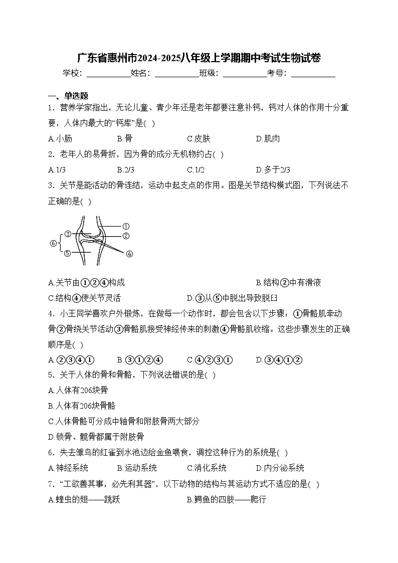 广东省惠州市2024-2025八年级上学期期中考试生物试卷(含答案)第1页