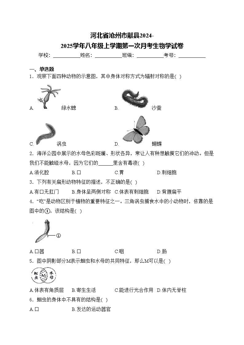 河北省沧州市献县2024-2025学年八年级上学期第一次月考生物学试卷(含答案)第1页