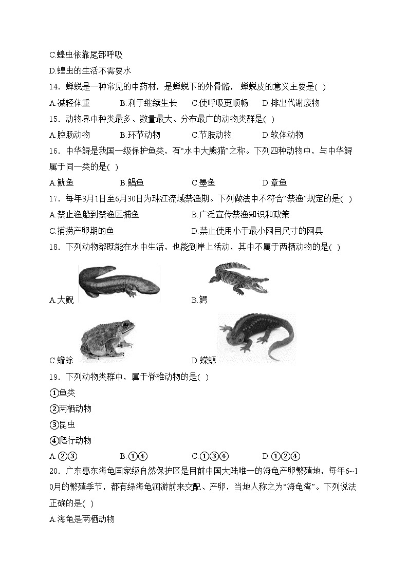 河北省沧州市献县2024-2025学年八年级上学期第一次月考生物学试卷(含答案)第3页