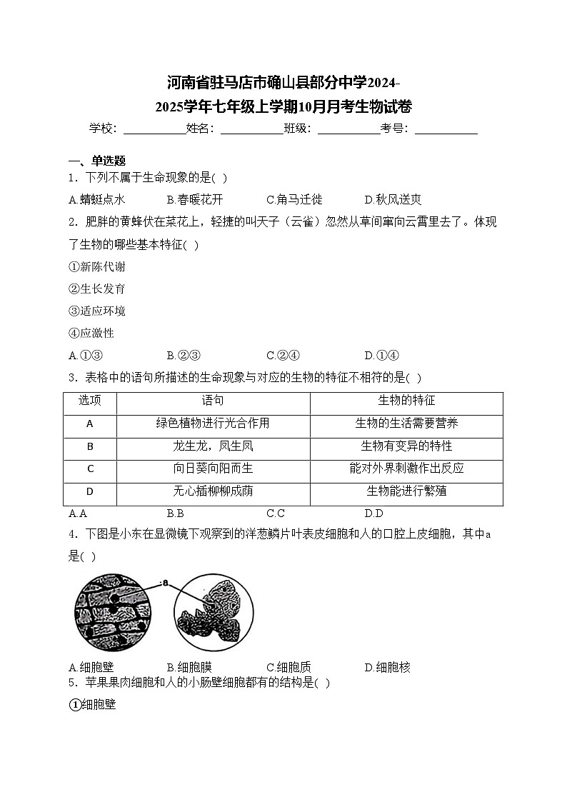 河南省驻马店市确山县部分中学2024-2025学年七年级上学期10月月考生物试卷(含答案)第1页